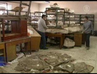 China Finds Bird-linked Dinosaur
