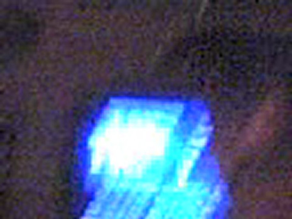 La tutuLip3