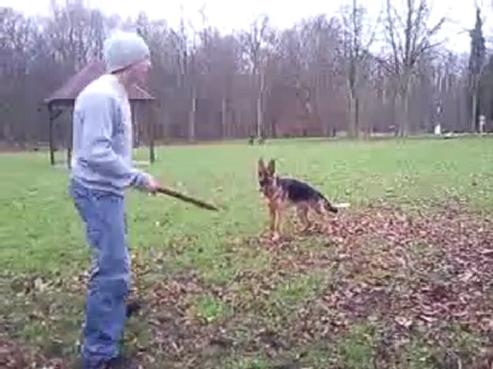 cascà qui joue avec son papa et son bâton