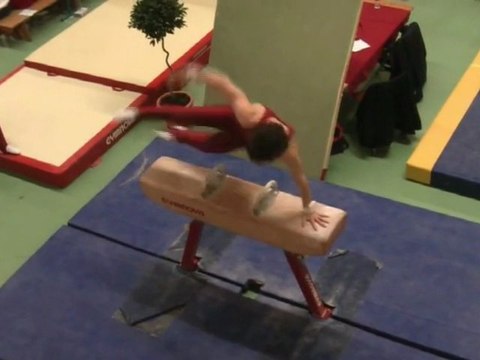 DIR Libre GAM - Cheval d'Arçons