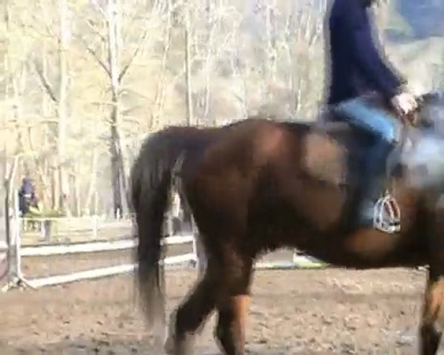 caro et oryx_cours so