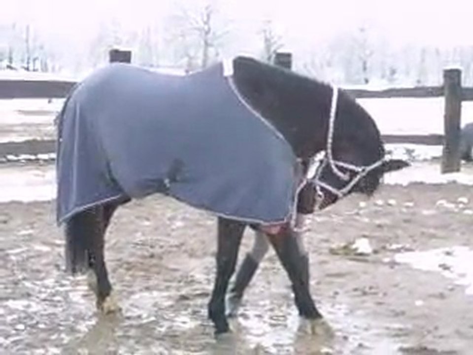 Jeux avec Hercule ^^