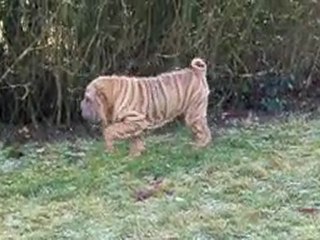 EIFFEL EXELMANS DES MING WAY