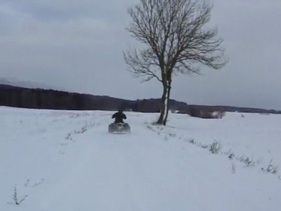 Ds650 Snow