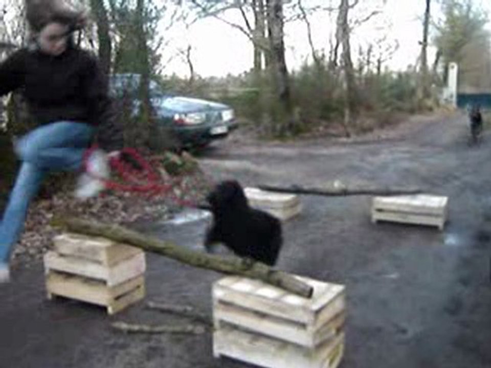 Dilou en saut dehors