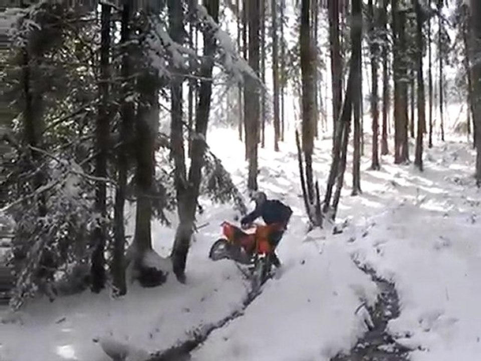 moto_310110