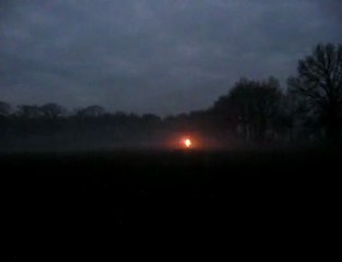 6inch Shell Silver Peony to Crackling