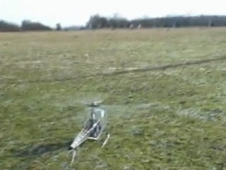 Lama 1er vol DD