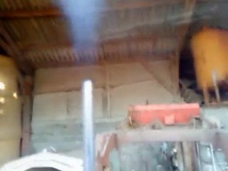 démarrage du zetor 7211