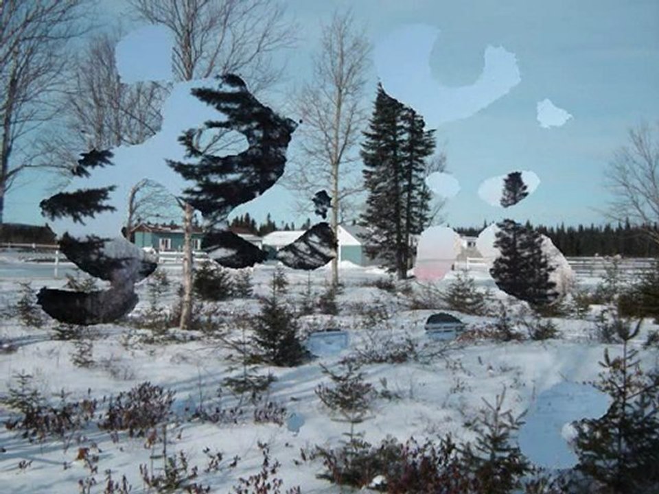 Présentation Ranch