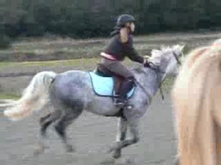 cours le 29/01/2010