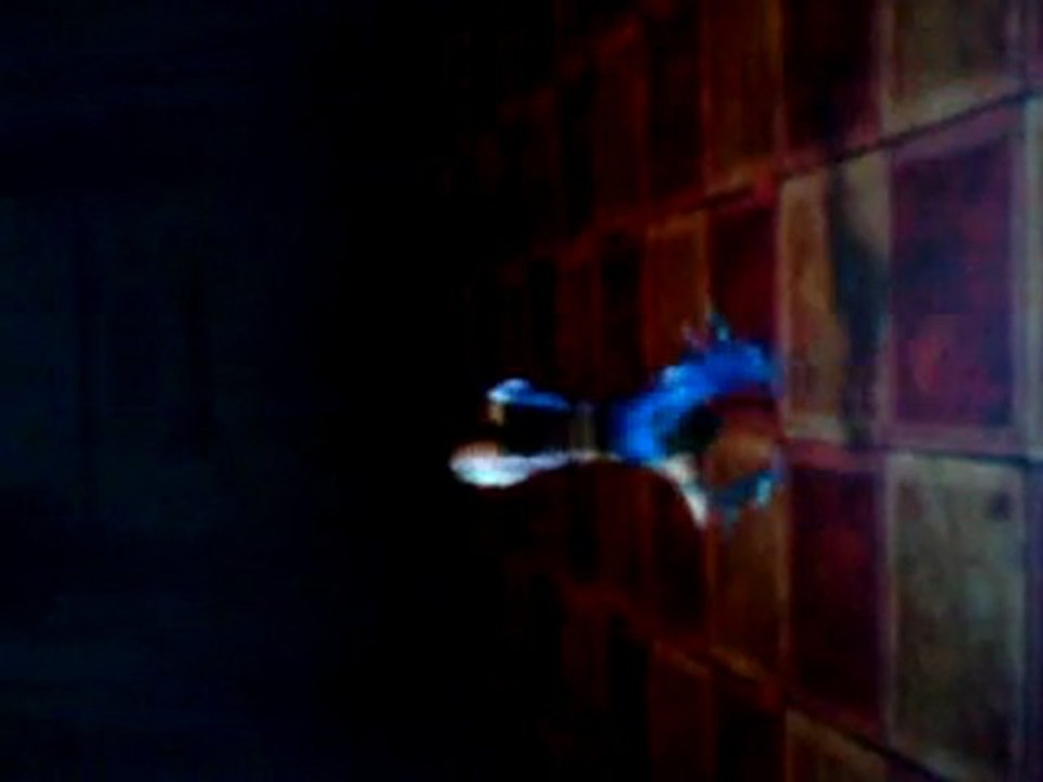 Dance dance dance =)