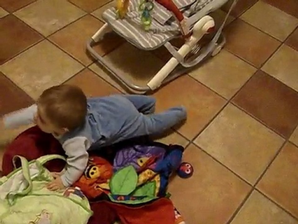 Promenade à 4 pattes