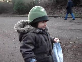 Promenons nous dans les bois 1