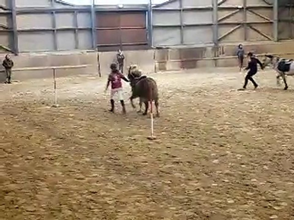 Concours Pony-Games ~ Les Sioux