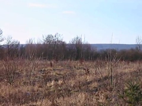 VENERIE DU LIEVRE : le lancer