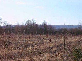 VENERIE DU LIEVRE : le lancer