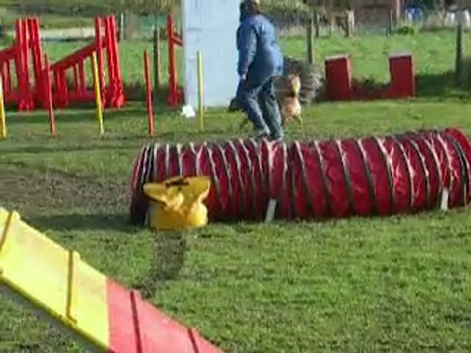 agility Open vitalis la madeleine 29 03 008