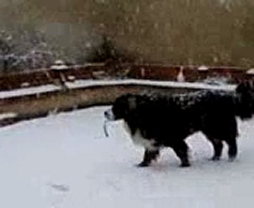 Vidéo0135