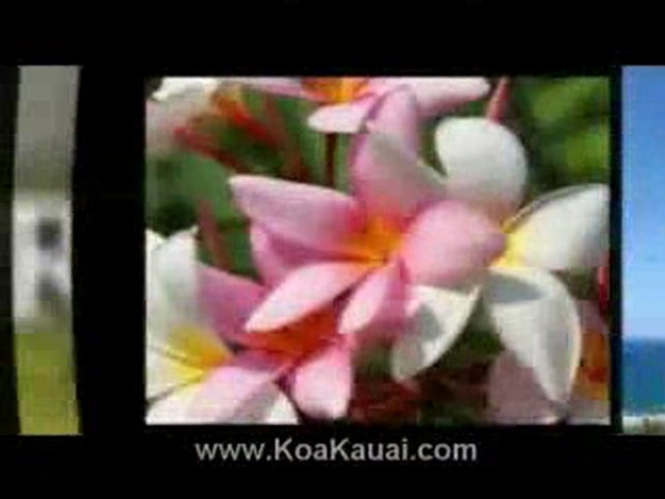 Kauai Vacation Condo Rentals