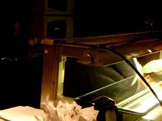 Il Chiosco-Bar presso Stazione Metro-Piramide a Roma