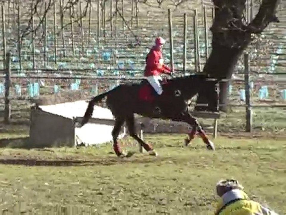 cross st gilles amateur 3