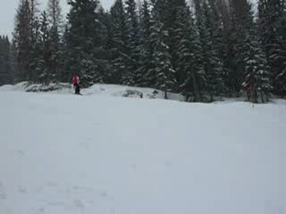 vlc-record-2010-02-01-10h40m59s-stef_P1000117.MOV-