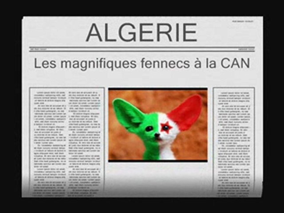 ALGERIE LES MAGNIFIQUES FENNECS