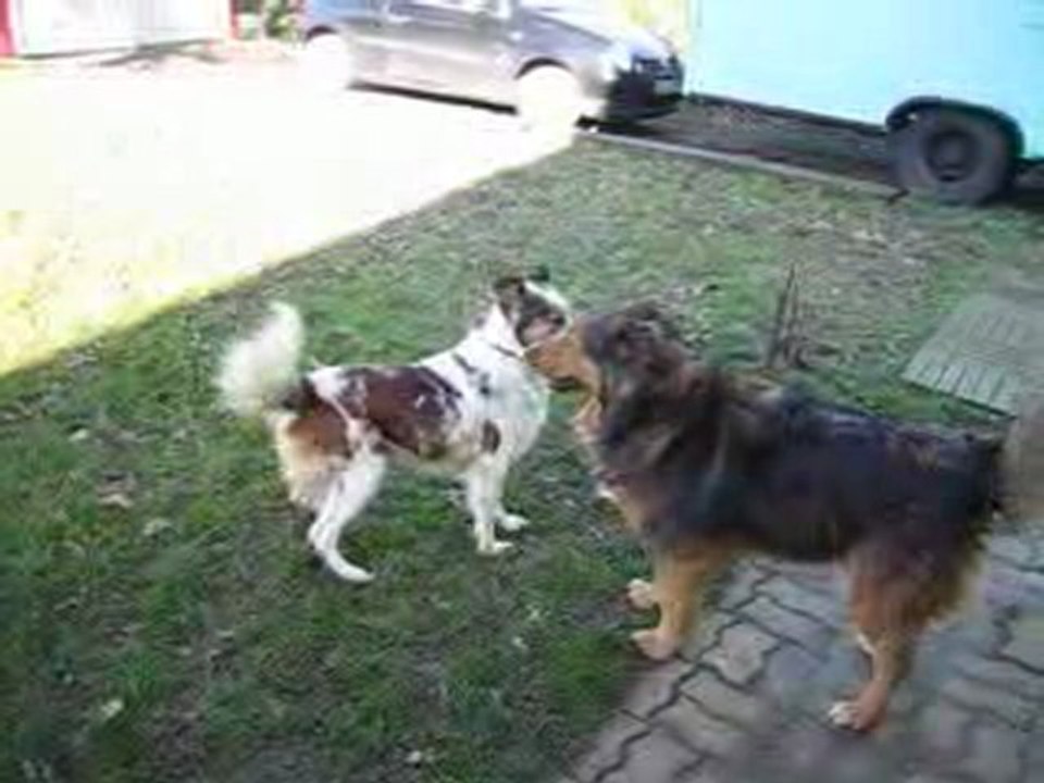 un petit pas pour l'homme un grand pas pour Sultane!!!