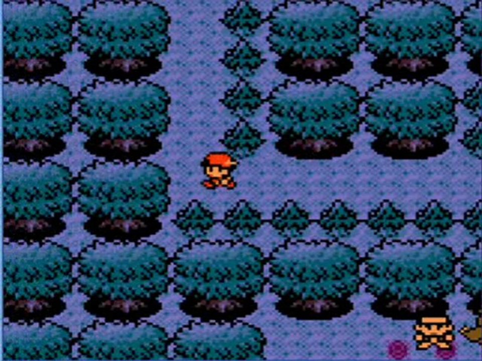 Pokemon Or (10) Le bois chéne