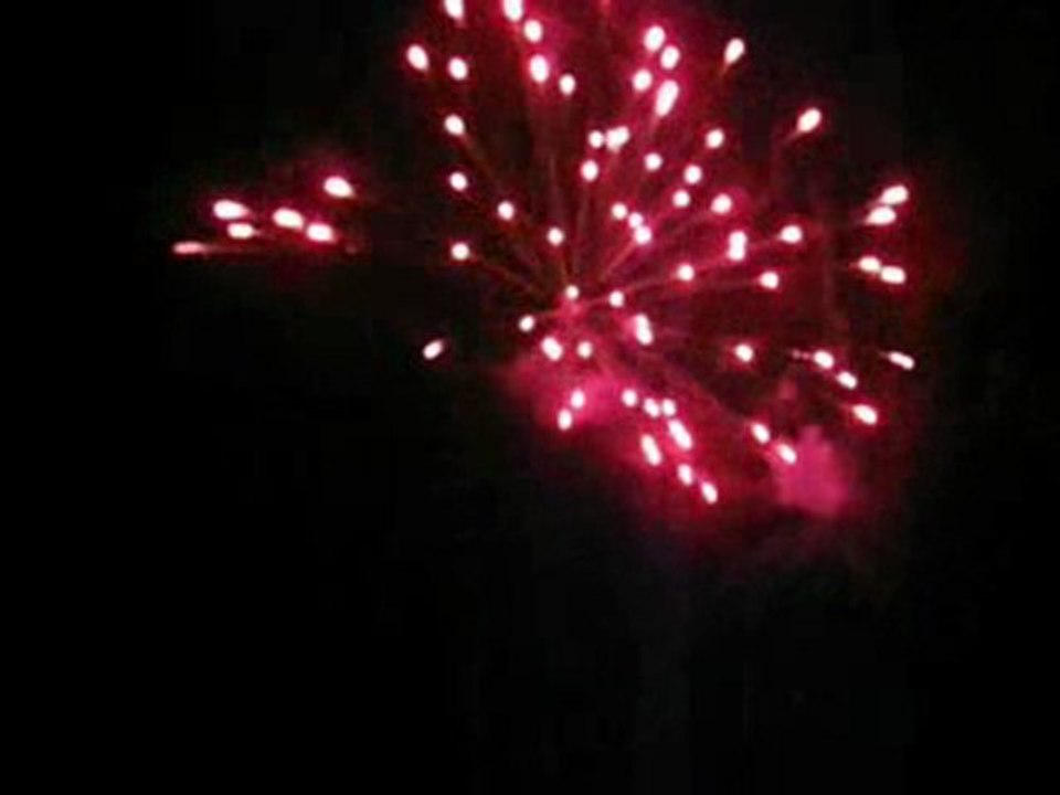 6 Pirastar Teanese 2.