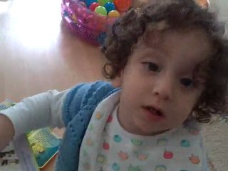 Çınar ve yine hav hav