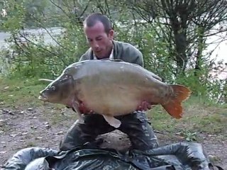 Carpe miroir 22kg fait aux Etangs Saint Jûles.