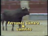 Fernando Camara & Campino