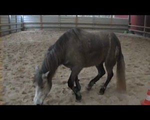 rikita liberté roulade 3_26 janvier 2010