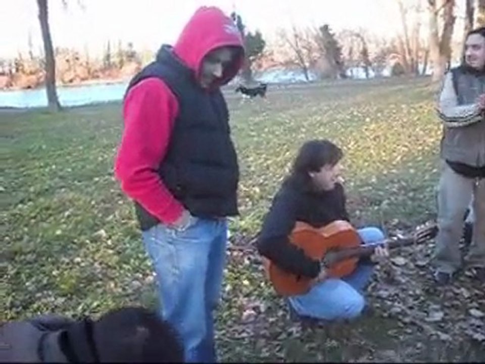 Oléééé Olééé les Toulousains ! (11)