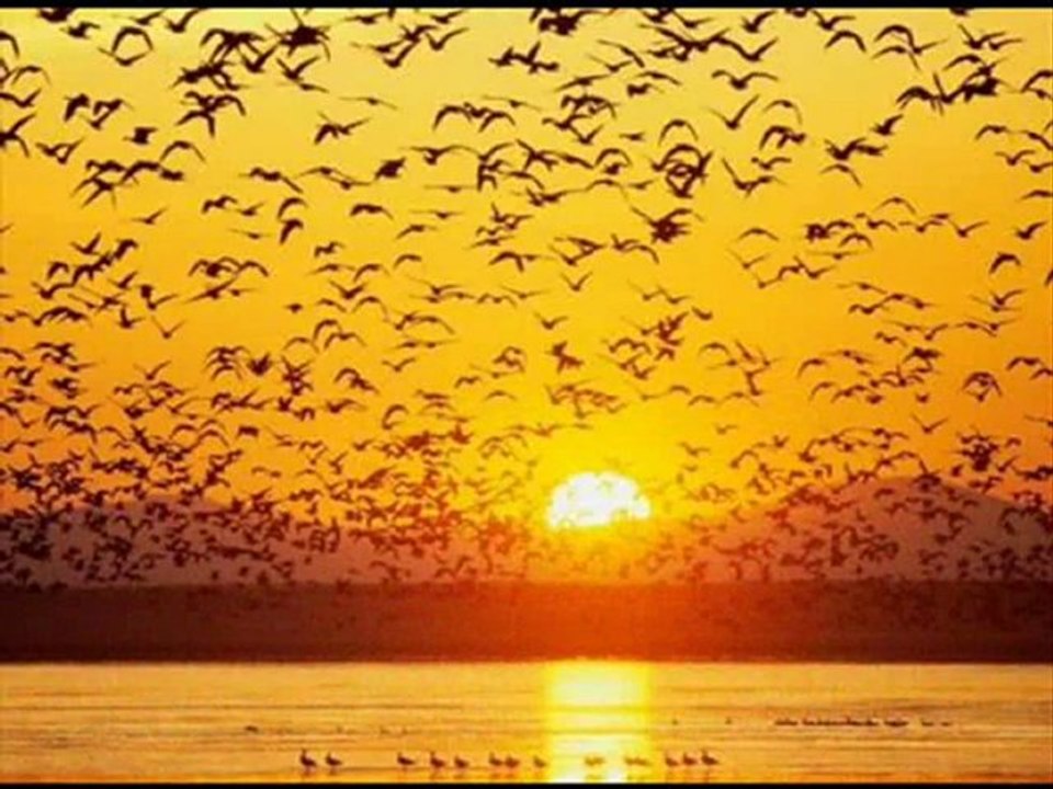 Ben ve sen Barış Bilgiç