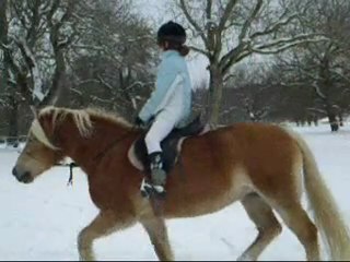 Séance du 31 janvier 2010 avec Ladina