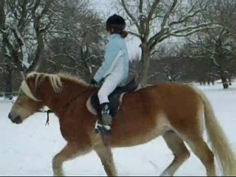 Séance du 31 janvier 2010 avec Ladina