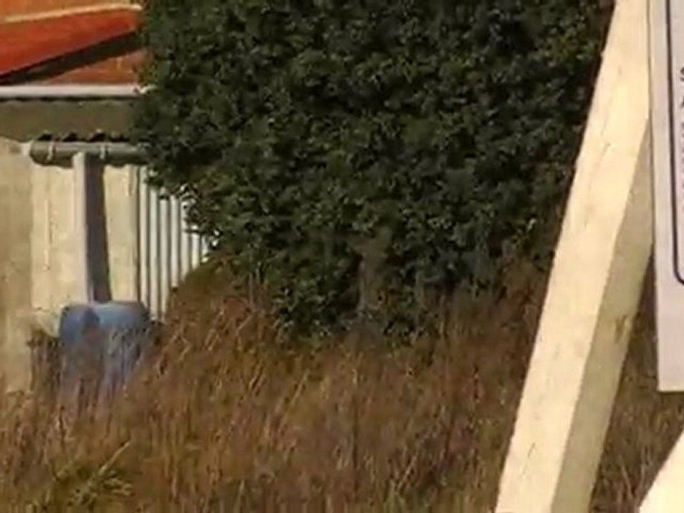 HERLIES proche Lille Scellier 2011 Actable 2010