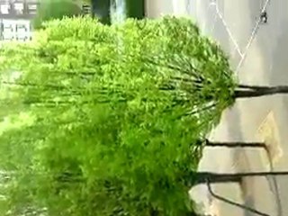 grange aux belles zooooooooooooooooooooooooooooooooooooooooo