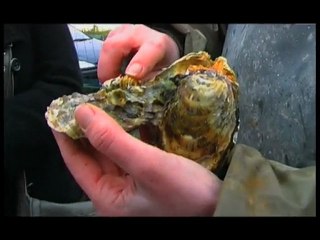 Europe Écologie Poitou-Charentes St Martin en Ré