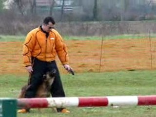 Apis garde au ferme