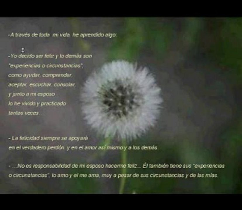 Video 115 EL SECRETO de La Ley de La Atraccion