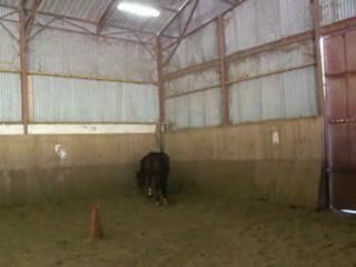 Essaie de Simbad , Saut en Liberté ♥