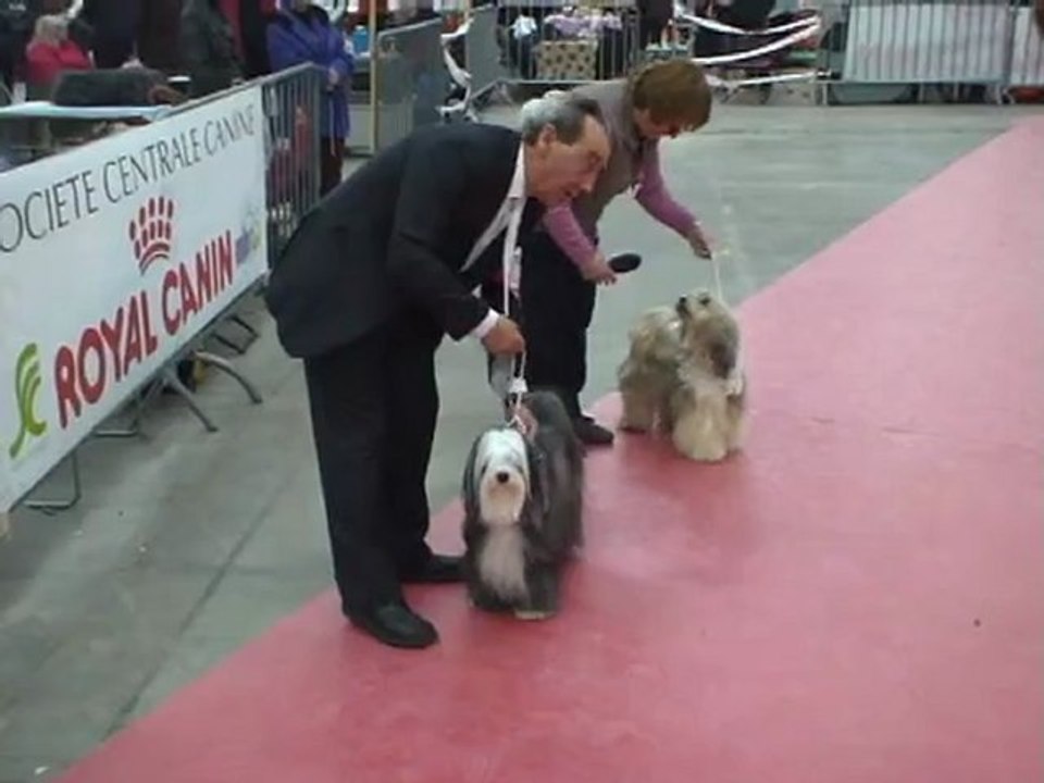 Exposition Canine MONTPELLIER 2010