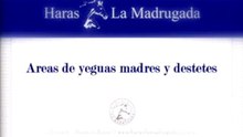 Servicios Haras La Madrugada