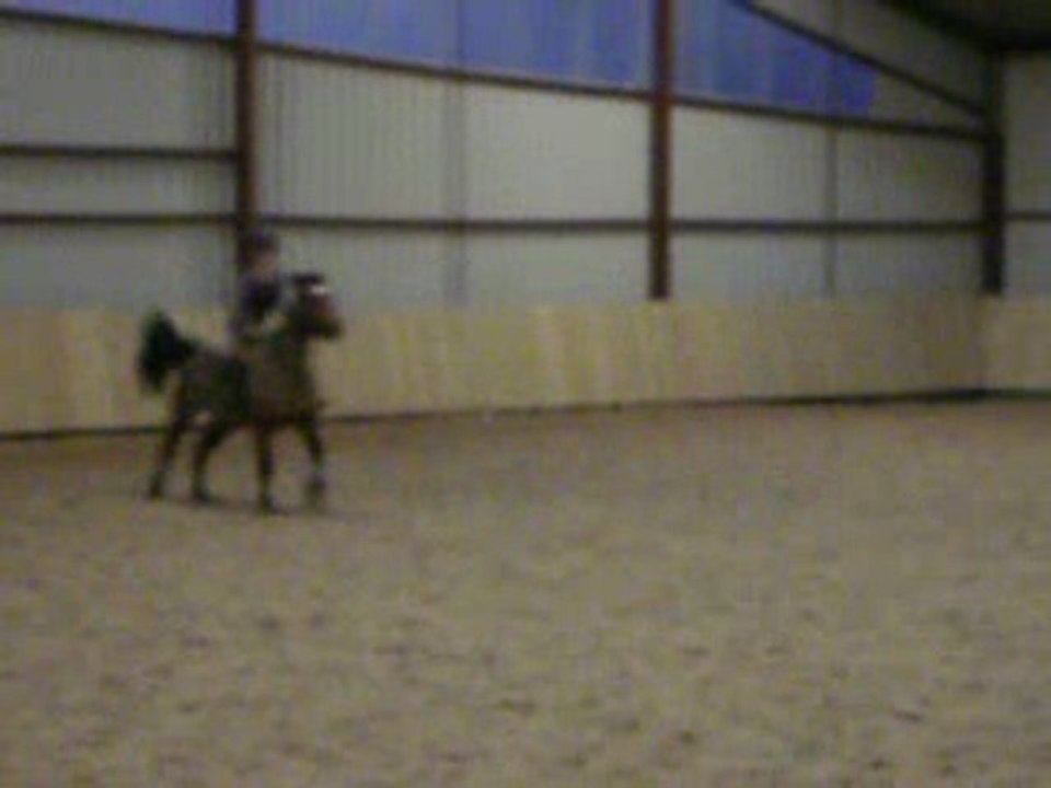 poupette puissance 0.85m janvier 2010