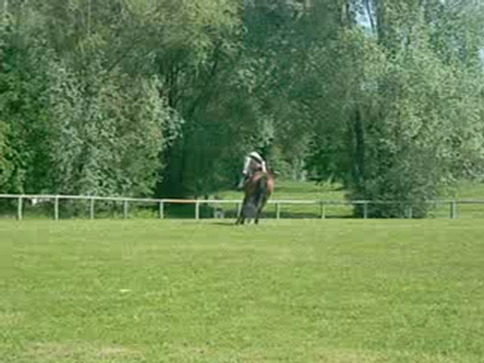 chute trop débile mais qui a fait très mal lol !!! mai 2009