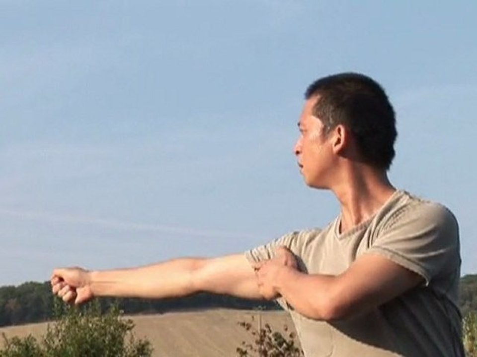 Wu Zheng - Ferme du grand Béon (Soucy)